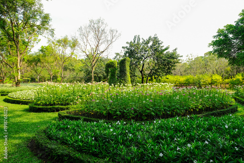 Park and  flower garden  at city center in Bangkok,Thailand
