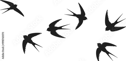 Swallow bird silhouette collection, black flying swallows isolated on white background, elegant winged wildlife vector illustration set for design
