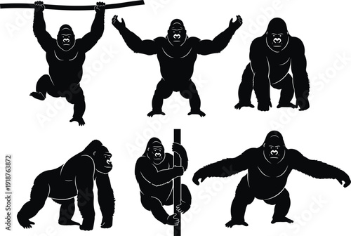 Gorilla silhouettes collection, multiple poses vector illustration, primate behavior artwork design, animal movement concept, wildlife study scene, flavector