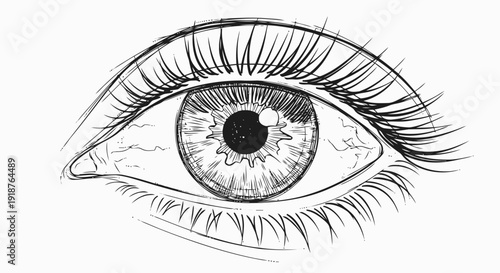 Detailed Drawing of Human Eye with Eyelashes.