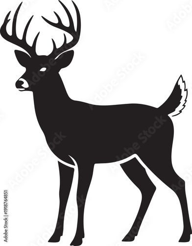 Black silhouette of a majestic white-tailed deer buck with large antlers standing on - stock vector.