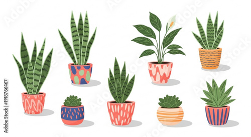Collection of potted plants with various succulents and leafy greens in colorful pots on white background for decoration and interior design