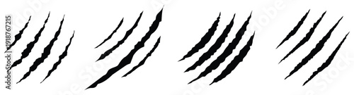 Collection of four stylized scratch marks on white background