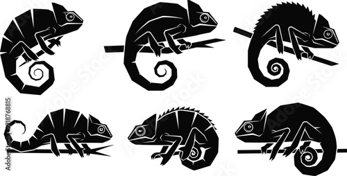 Black chameleon silhouette set vector illustration reptile lizard collection isolated on white background minimalist graphic design bundle