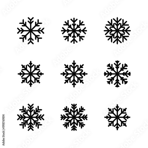Collection of nine unique snowflake icons in black and white symbolizing winter and cold weather
