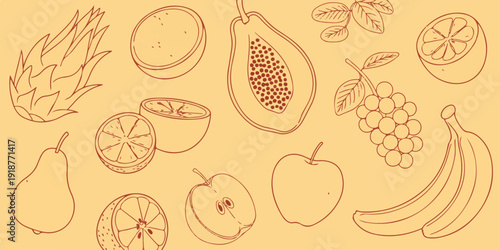 Sketch of various exotic and common fruits, including papaya, dragon fruit, bananas, apples, and citrus, on a yellow background.