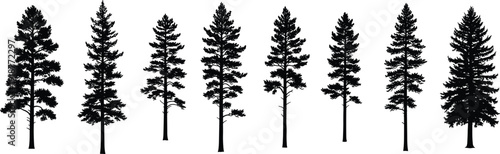 Set of pine and spruce trees silhouettes cad drawing flat vector illustration with various forest evergreen fir and cedar plants