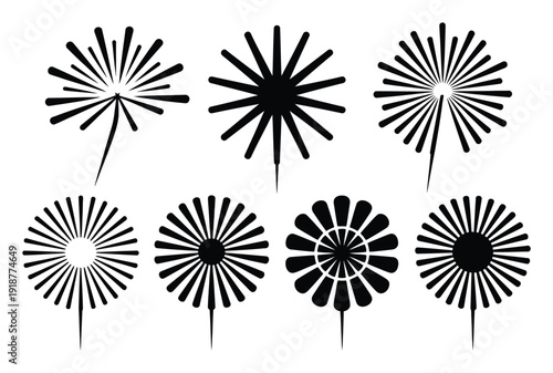 Collection of Black and White Dandelion and Sparkler Vector Graphics