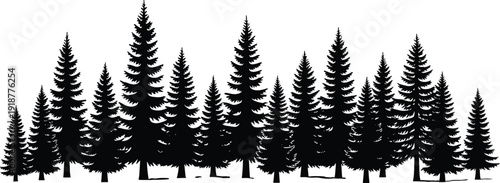Black forest silhouettes of pine and fir trees, dense woodland landscape, natural conifer outlines, scenic wilderness vector illustration for design projects