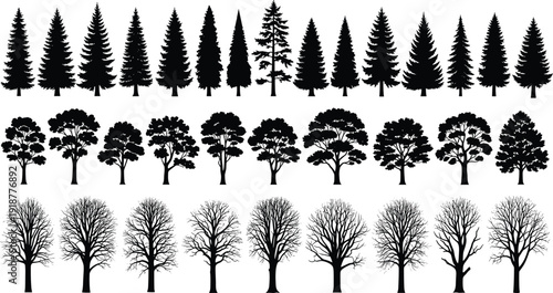 Black silhouette vector illustration of diverse trees including coniferous pine, leafy deciduous summer foliage, bare winter branches in seasonal forest design