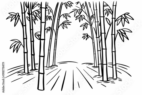 A black and white illustration of a bamboo forest with a path leading through it
