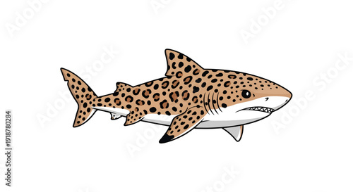 leopard shark illustration, vector graphic, ocean animal, design element, wildlife, spotted