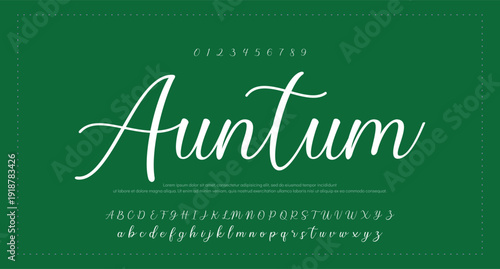 Lettering signature font isolated on grey background. brus style alphabet. Vector logo letters. 