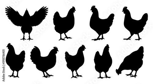 Set of chicken silhouettes in different poses for farm and poultry branding designs.