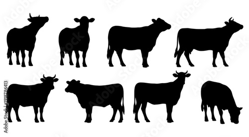 Set of black cow silhouettes in various standing and grazing poses for dairy farming.