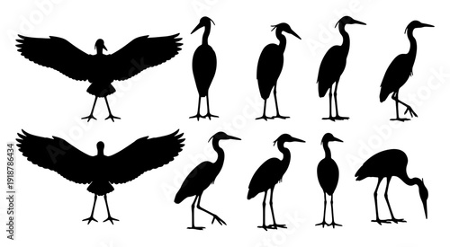 Wallpaper Mural Heron and crane bird silhouettes in various poses standing and flying set on white background Torontodigital.ca