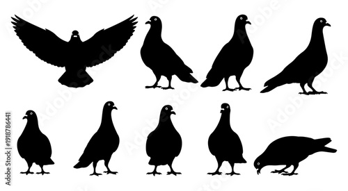 Wallpaper Mural Collection of pigeon silhouettes in flying and standing poses for peace bird designs. Torontodigital.ca