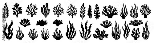 Black silhouette underwater coral reef and seaweed aquatic plant set isolated on white background