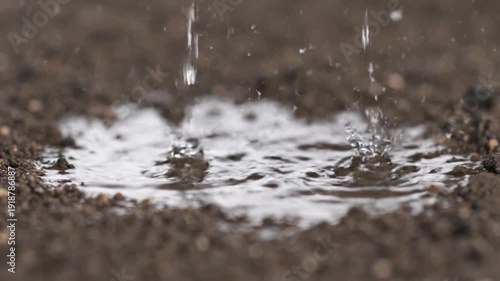 A captivating close-up of fresh rain falling onto the dark, damp ground, individual water droplets creating mesmerizing ripples and splashes, a tranquil scene of nature's cycle