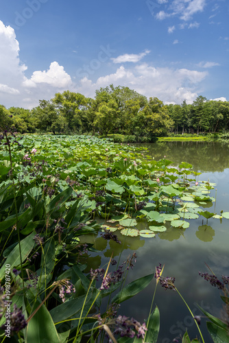 Lake in Hangzhou China