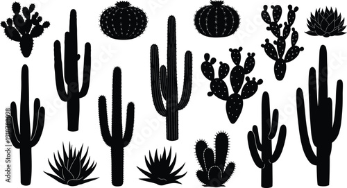 Cactus silhouette vector illustration, succulent plant design, desert botanical artwork, prickly pear emblem, agave nature composition, black silhouette art