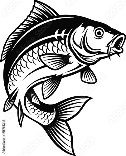   
Carp fish silhouette swimming, detailed scales and fins, aquatic wildlife vector illustration design for nature themes and logos