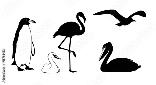 Black Silhouette Illustrations of Penguin Flamingo Swan Pelican and Seagull Birds.