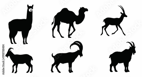Black Silhouette Icons of Alpaca Camel Antelope and Goat Animals.