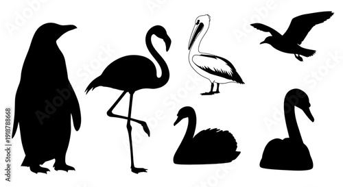 Silhouette Icons of Various Birds Including Penguin Flamingo Pelican Seagull and Swan.