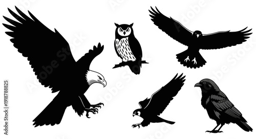 Collection of Black Silhouette Illustrations Featuring Eagle Owl Hawk and Raven.