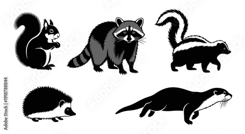 Black and White Silhouette Illustrations of Cute Forest Animals Squirrel Raccoon Skunk Hedgehog Otter.