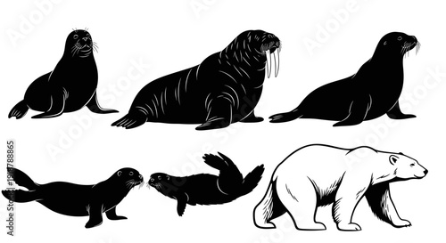 Collection of Black Silhouette Illustrations of Arctic Marine Mammals Walruses Seals and Polar Bear.
