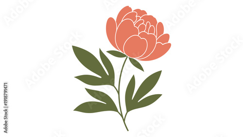 A beautifully stylized coral peony flower with lush green leaves, depicted as a simple yet elegant botanical illustration on a clean white background.