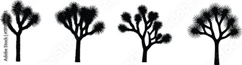 Joshua tree silhouettes with unique branching patterns, desert flora outlines, spiky leaves, thick trunks, botanical vector illustration for design projects