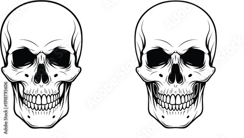 Realistic human skull front view illustration set with detailed teeth and anatomy for tattoo design