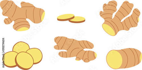 Ginger root whole and sliced vector set with fresh aromatic spice ingredient for cooking herbal medicine and healthy food design.