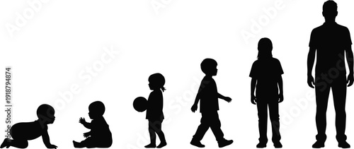 Human growth silhouettes progression, crawling baby to standing adult, childhood development stages, life cycle, aging process vector illustration design