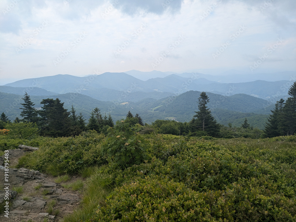 Obraz premium mountains in the mountains