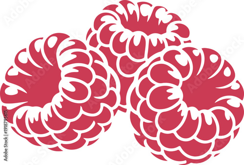 Raspberry Icons, Fruit and Berry Symbols for Food and Nutrition Design