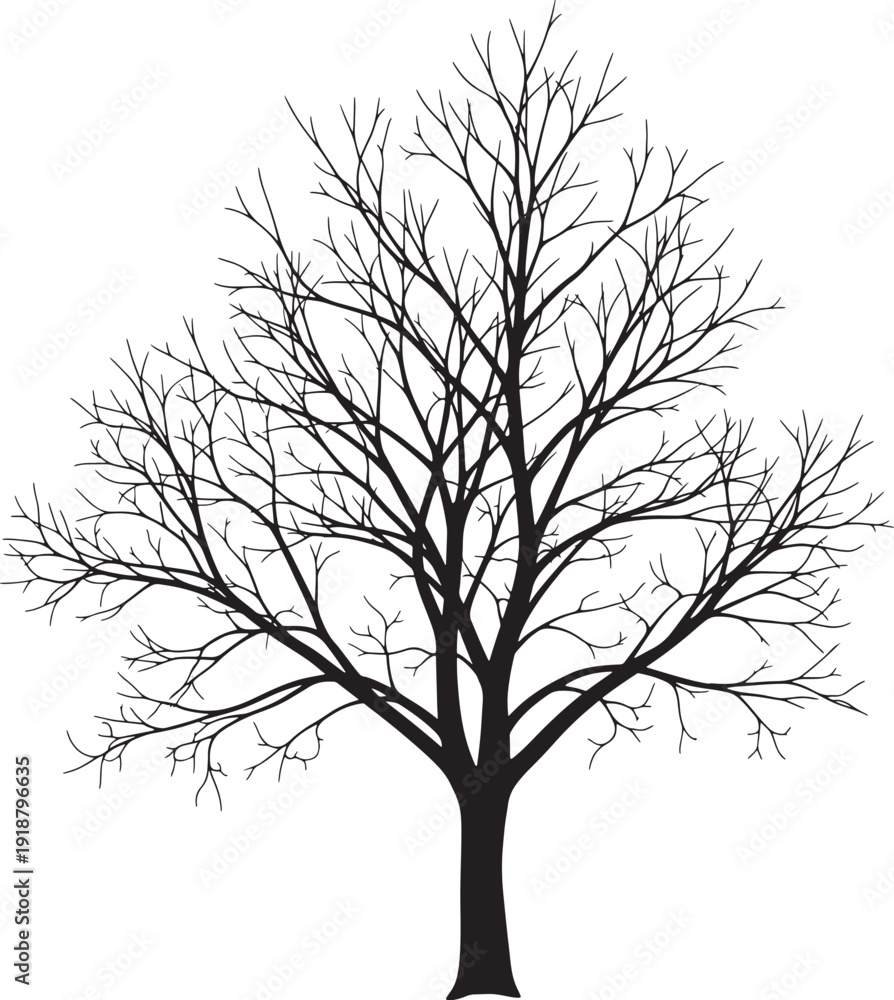 Obraz premium Minimalist black and white tree silhouette illustration