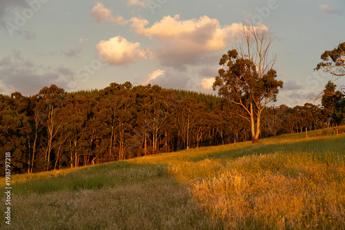 Photos Aerial drone panorama of rural farmland at sunset in New South Wales, Australia