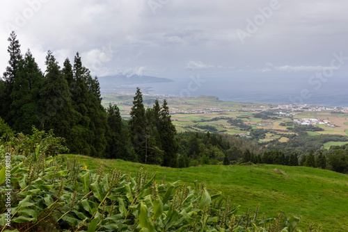 A view of a forest with a cloudy sky in the background
