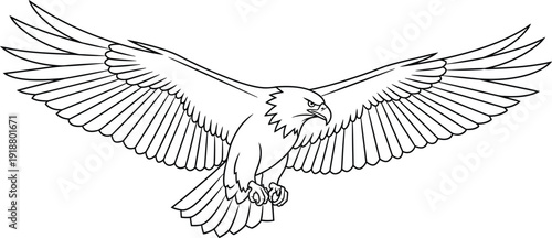 Majestic bald eagle line art illustration showcasing powerful wings spread wide in a fierce and determined attack dive posture