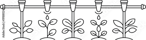 Outline of a drip irrigation system watering small plants with water droplets falling from overhead nozzles