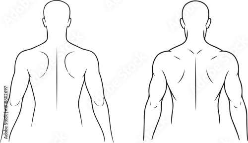 Anatomical drawings of human male body front view