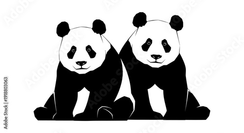 Two adorable black and white pandas sitting side by side looking cute