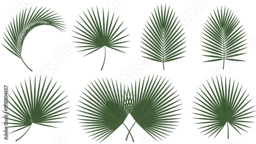 A collection of eight different green fan palm leaf silhouettes, showing various shapes and angles, perfect for tropical and botanical design elements.