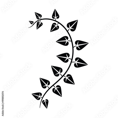 A delicate black silhouette of a curving vine with pointed leaves