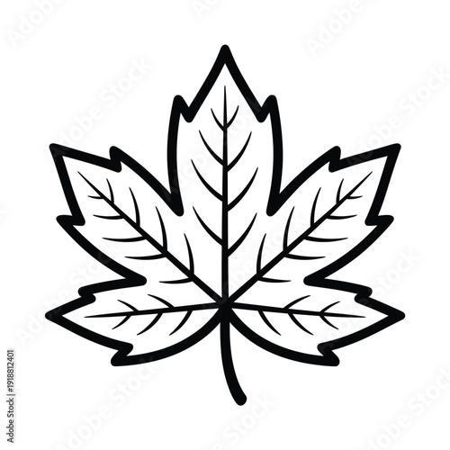 A simple black and white line drawing of a single maple leaf