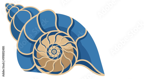 blue nautilus shell with gold outline
